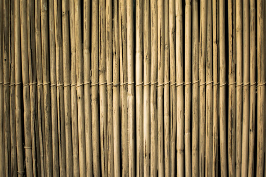 dried bamboo fences